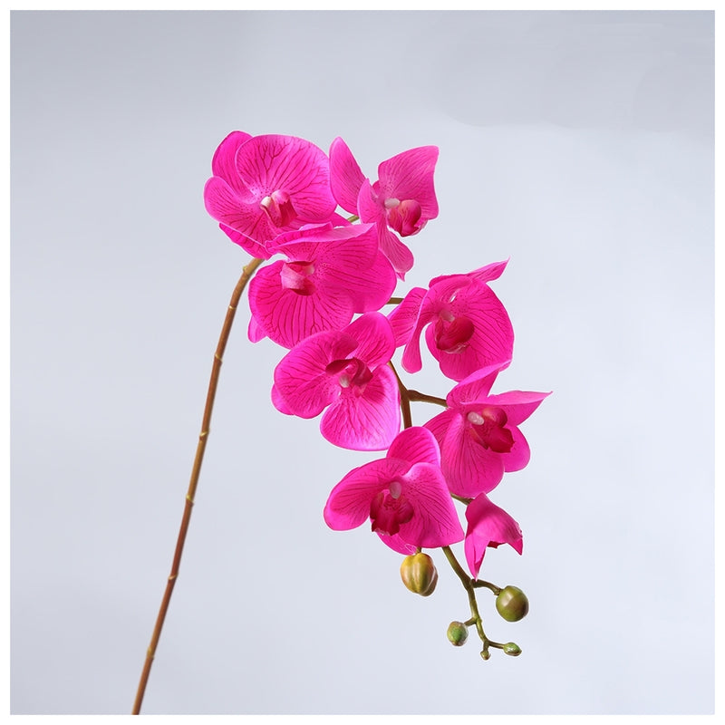 Flowers (Artificial) - Moth Orchid - Dark Pink 100